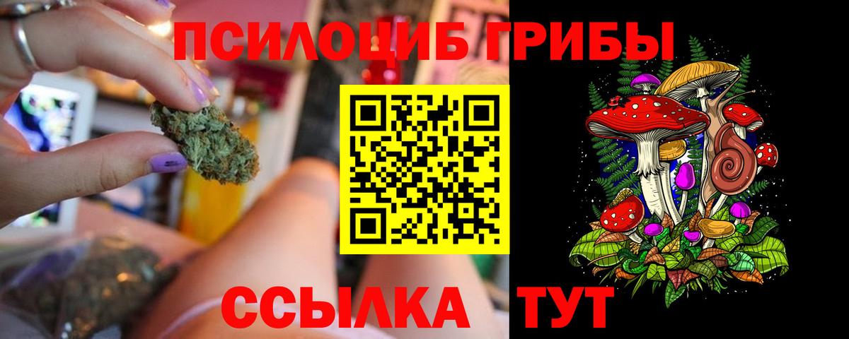Псилоцибиновые грибы Cubensis Кандалакша