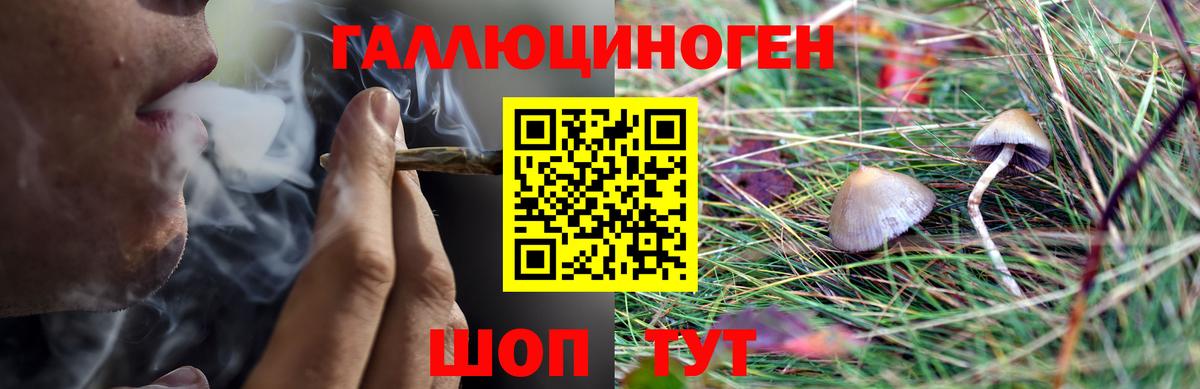 Псилоцибиновые грибы Psilocybine cubensis  Вход с VPN  Галлюциногенные грибы Cubensis  Кандалакша 